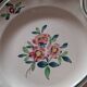 Amazonas plates Sarreguemines