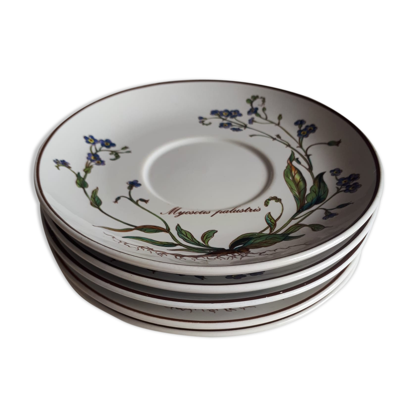 Lot of 5 sub cups "Myosotis" from the botanica service of Boch