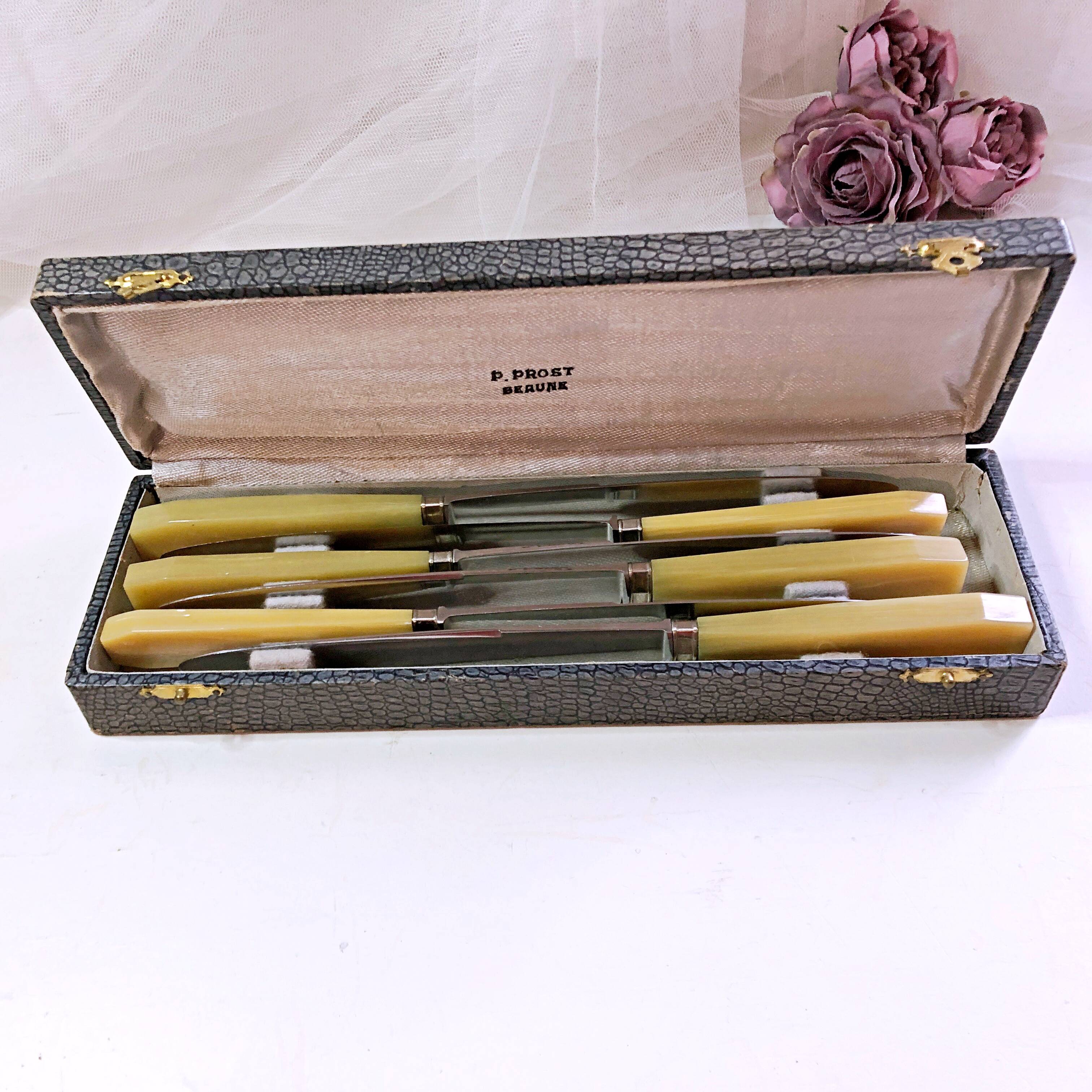 Box of 6 bakelite handle table knives France early 20th century