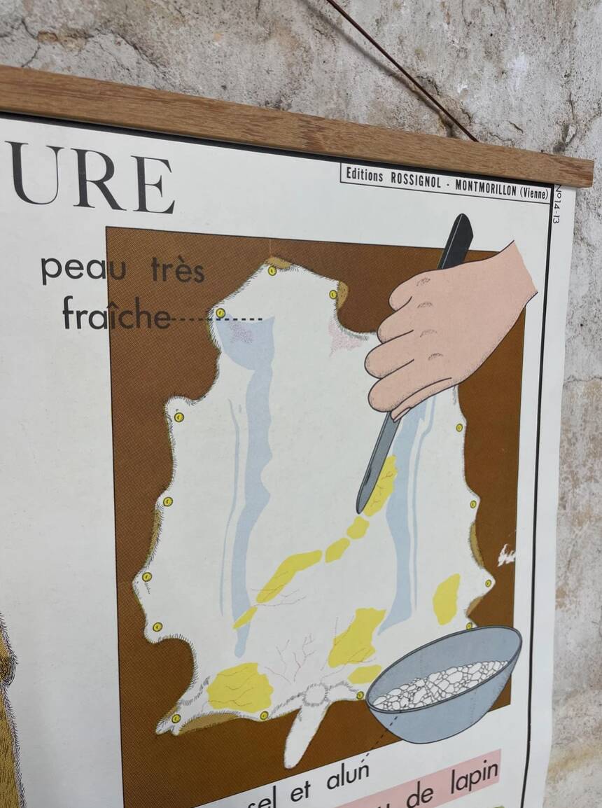 School poster the orange and the fur