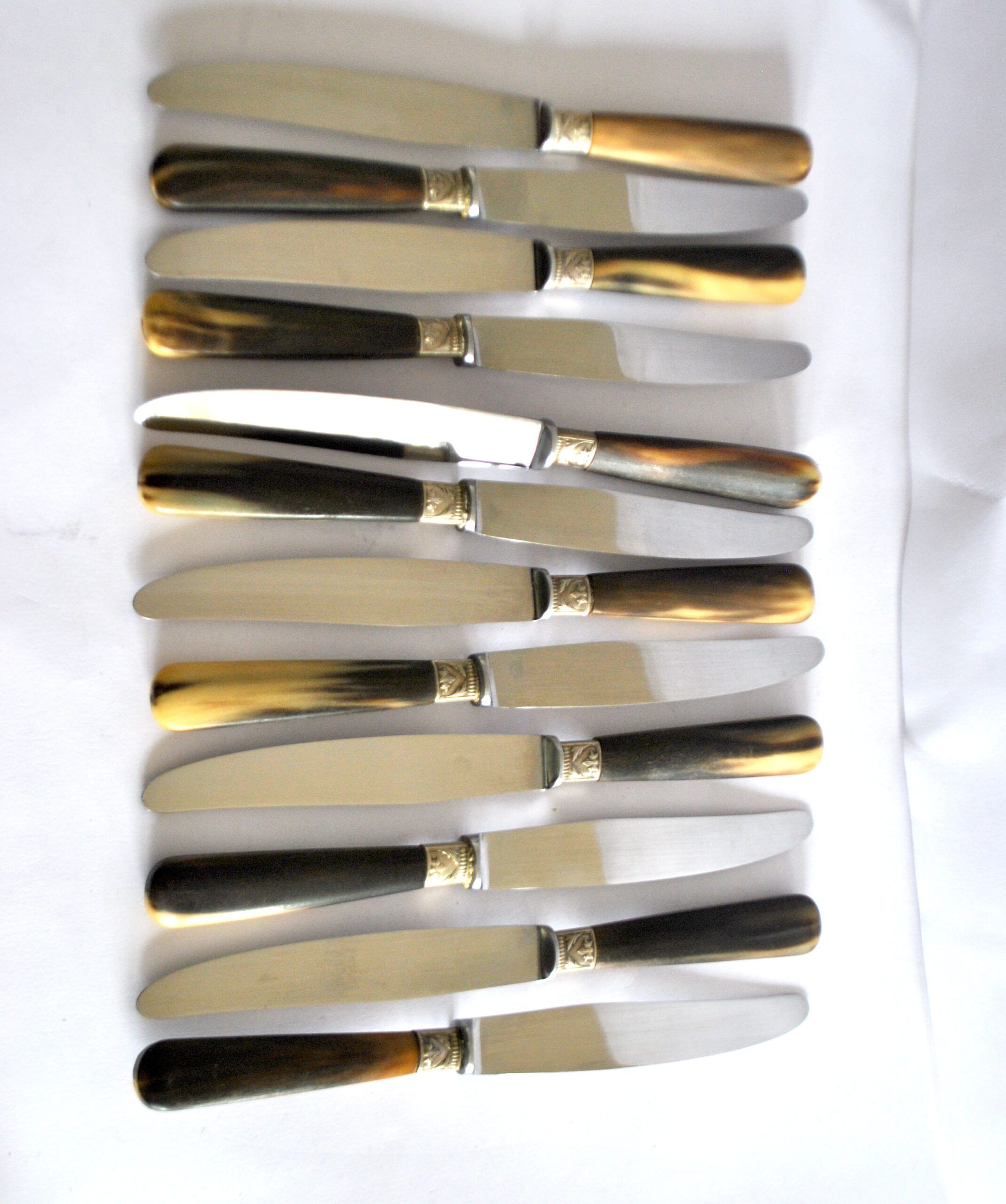 Set of 12 vintage table knives with horn handles and stainless steel blades RENEKA 24.5 cm