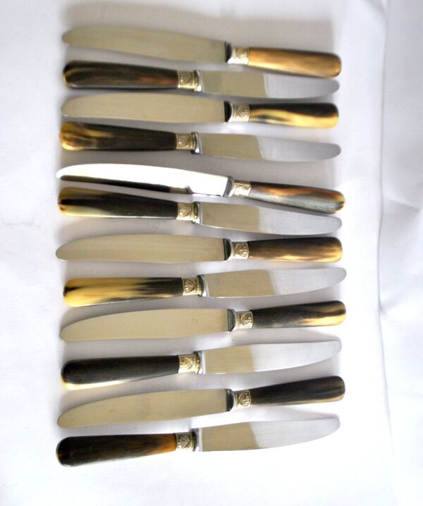 12 couteaux de table vintage en corne et lame inox Reneka