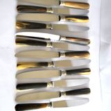 Set of 12 vintage table knives with horn handles and stainless steel blades RENEKA 24.5 cm
