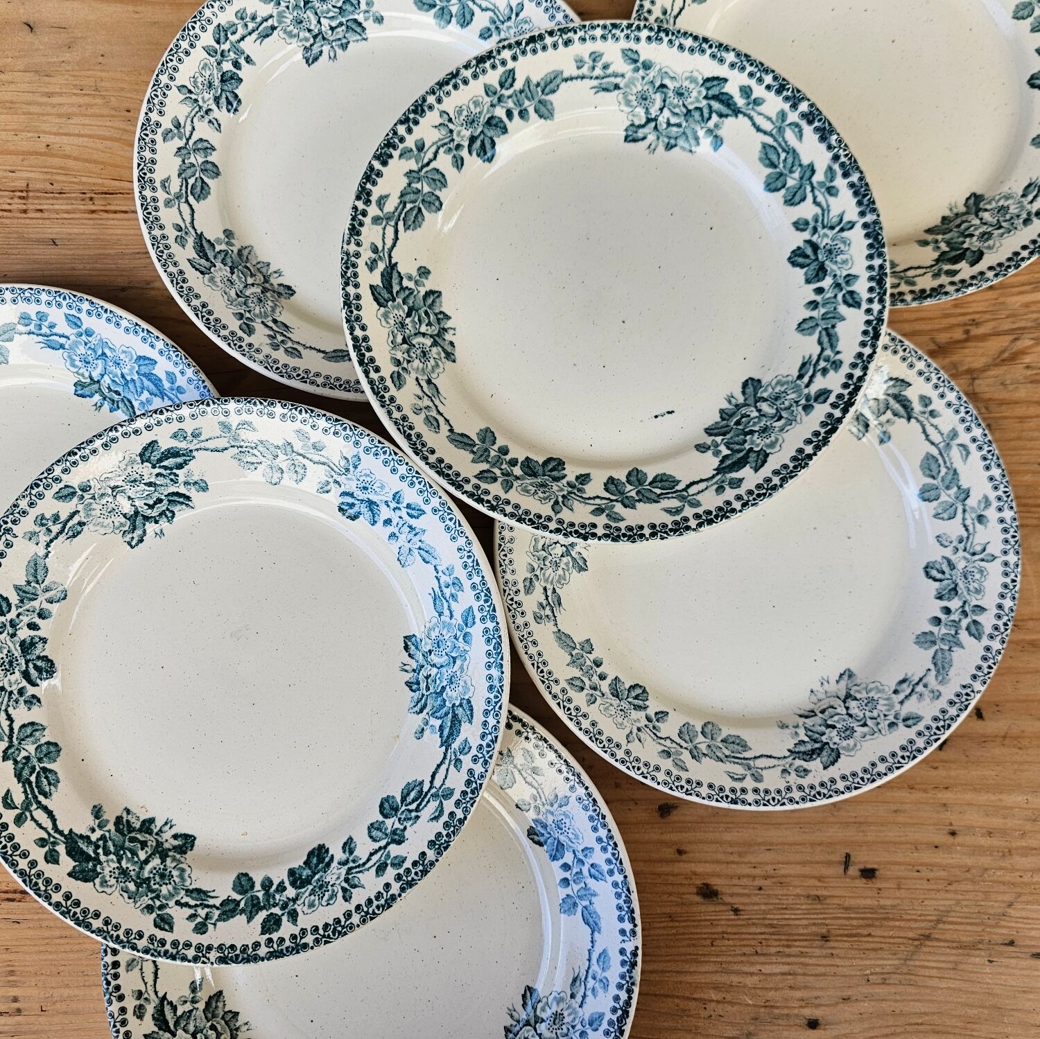 Flat plates Guadeloupe Terre de Fer