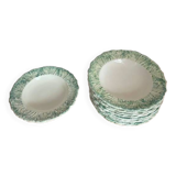 Soup plates with cabbage barbotine