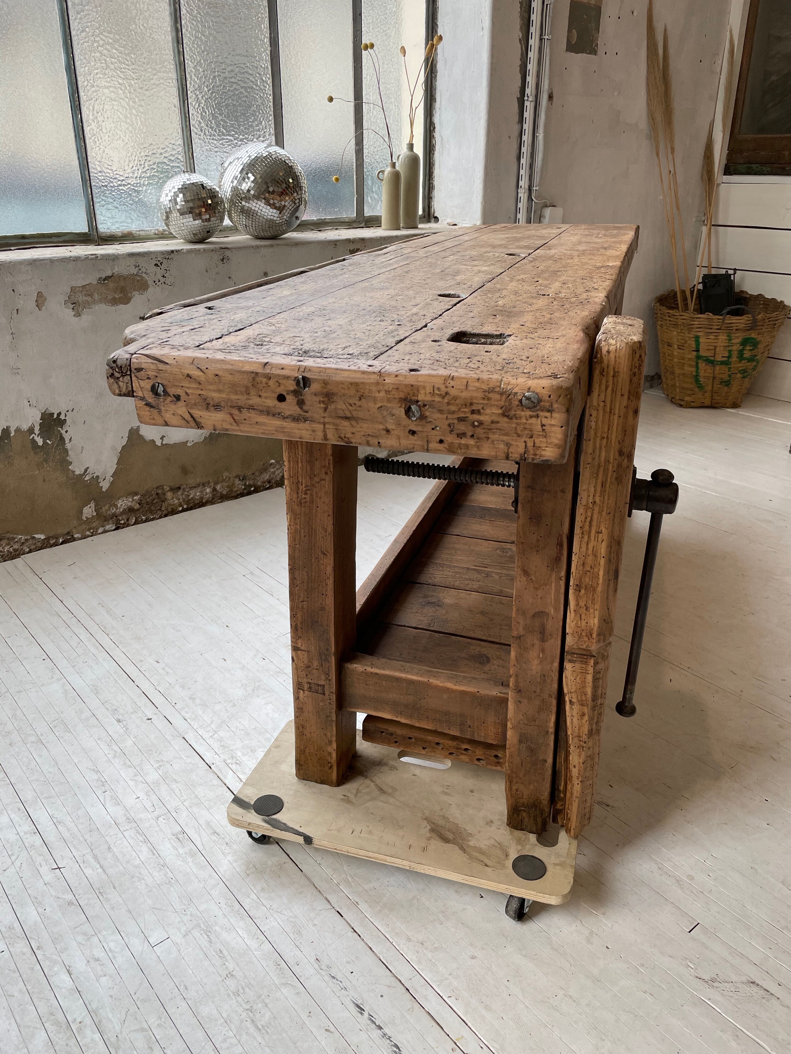 Established old oak XL