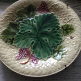 Shaded enamel plates 1892