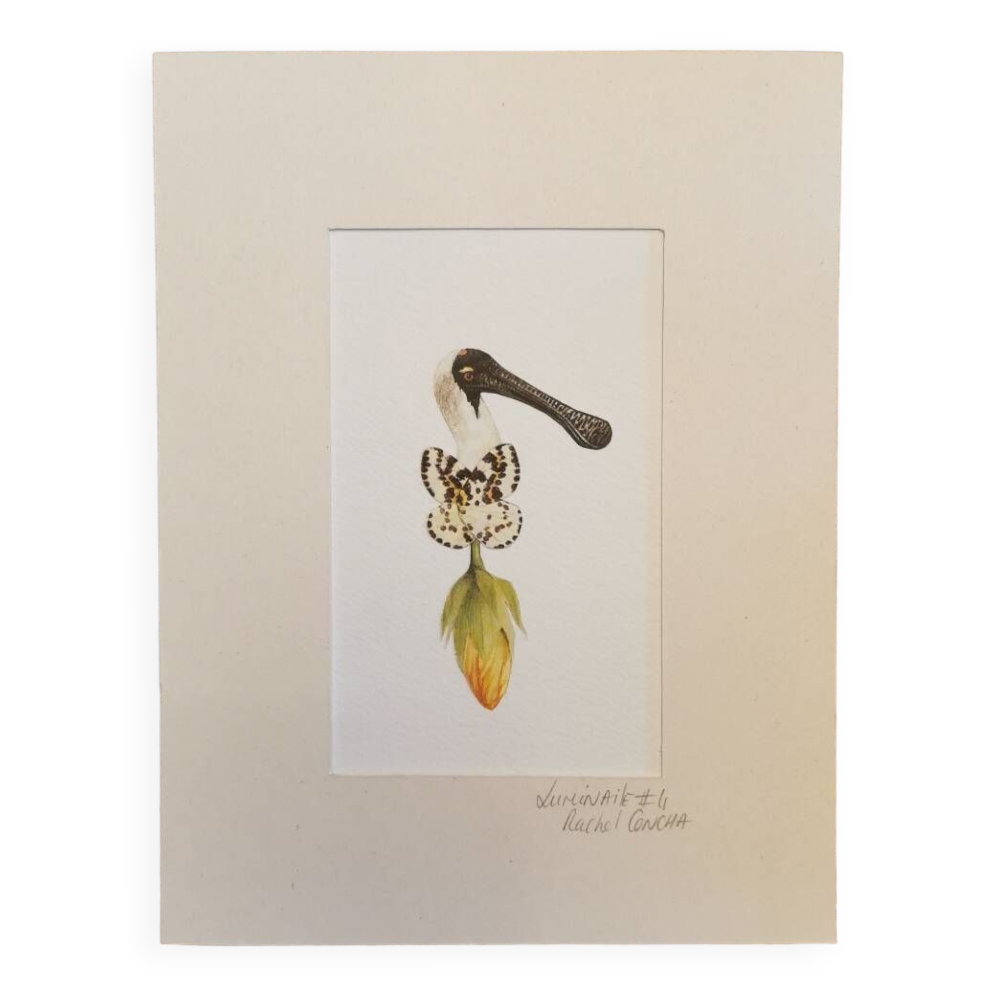 Lulinaile Collage #4