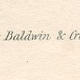Old engraving of reptiles including salamander, marbled newt, Pl8, 1834