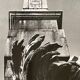 Black and white silver photography early twentieth century