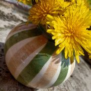 Small colorful vase 💐
