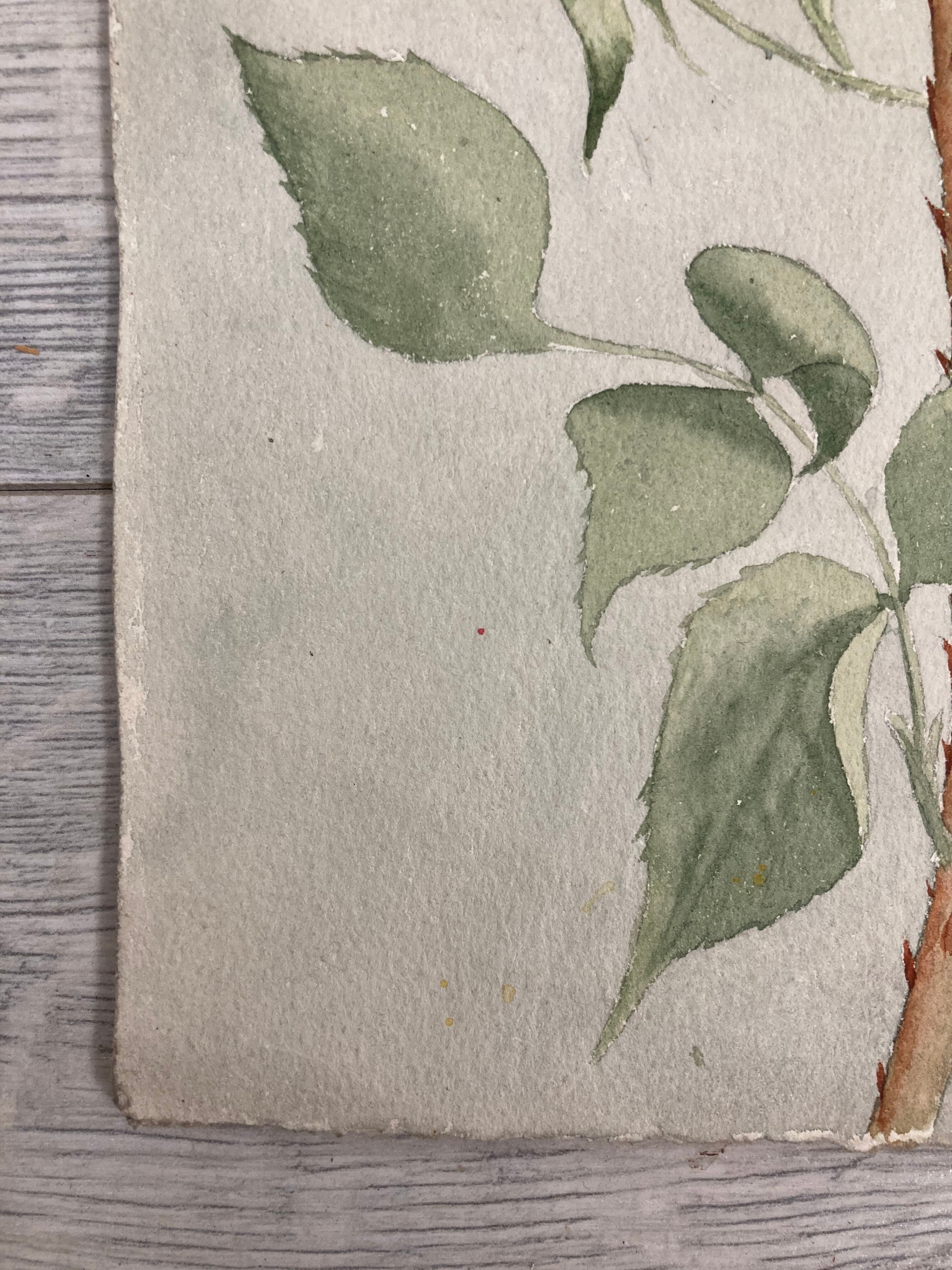 Watercolor with vintage roses