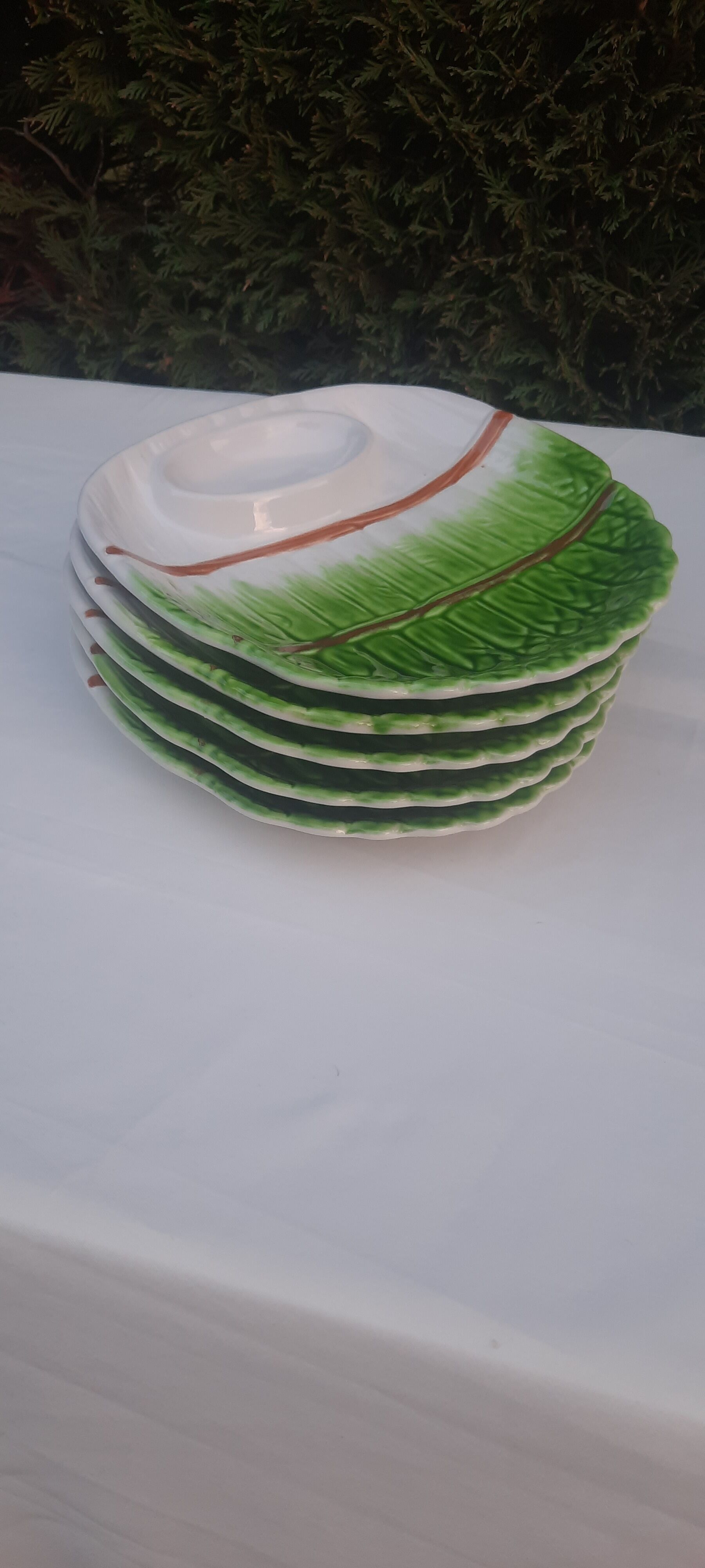 5 earthenware asparagus plates