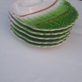 5 earthenware asparagus plates