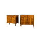 Set of 2 Identical Biedermeier Chests of Drawers, Germany, 19th Century, Wa