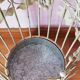 Vintage umbrella holder