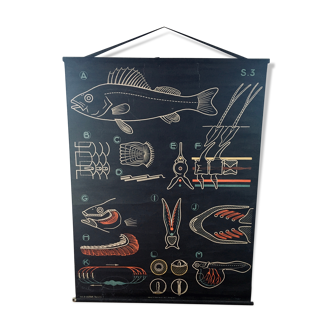 Poster of Doctor Auzoux: The perch