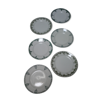 Assortiment de 6 assiettes plates motifs verts