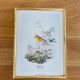 Birds lithograph frame after John Gould