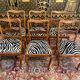 Set of 6 English cheppendeale chairs