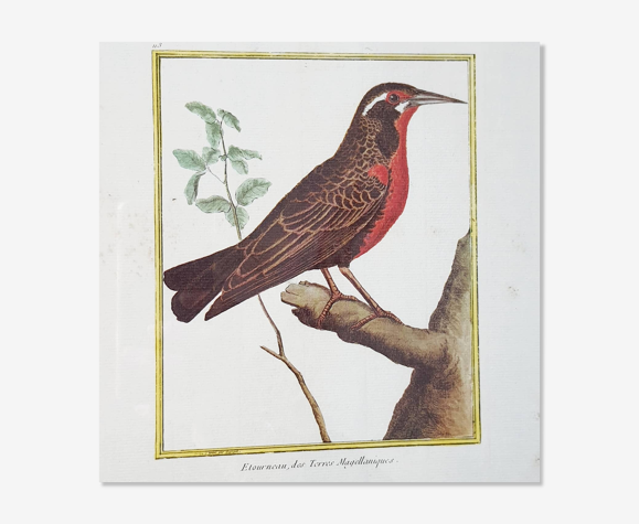 Cadre oiseau rouge