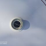 White saucer suspension