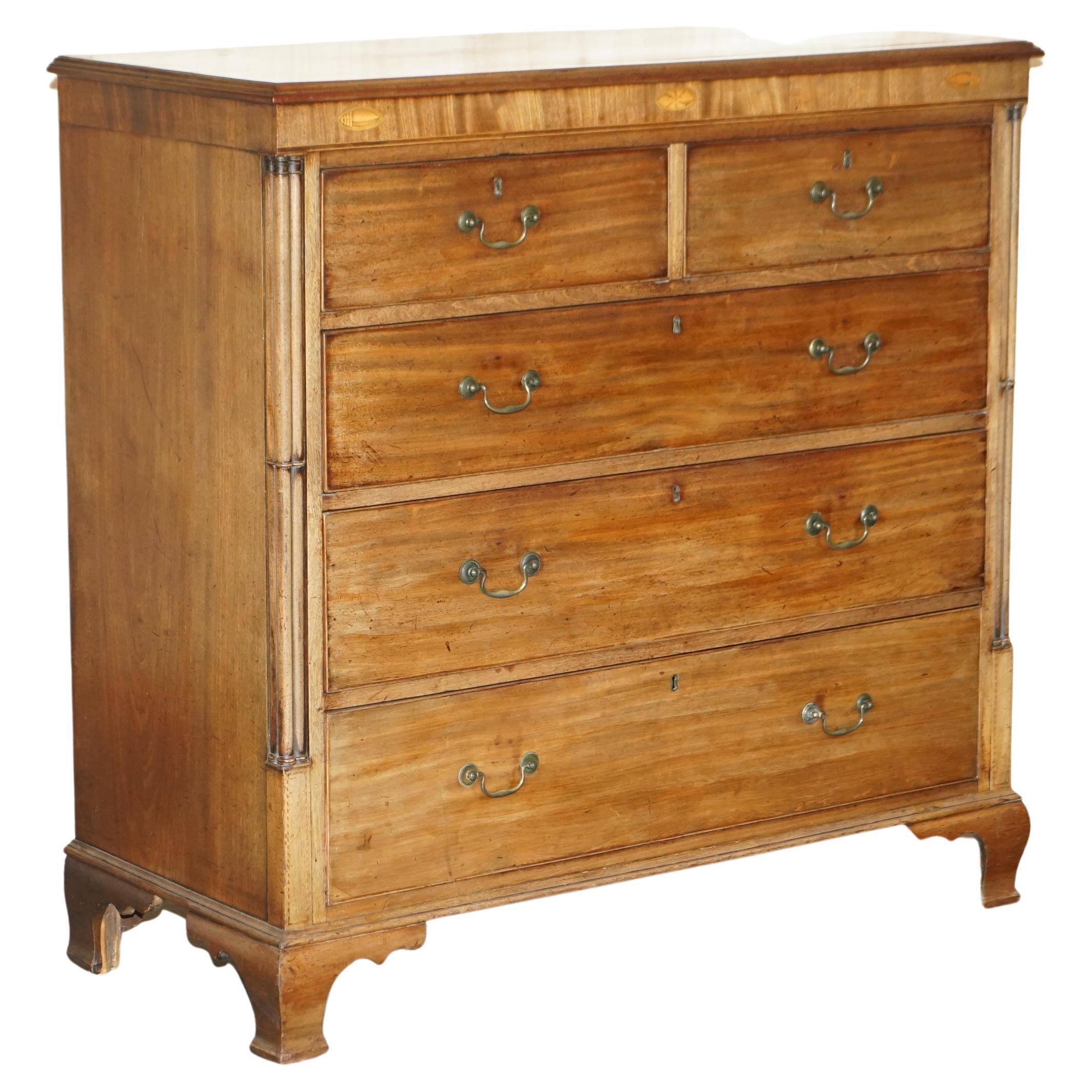Grande commode antique Thomas Chippendale Sheraton Revival bois dur