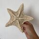 Large natural knotted starfish