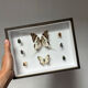 Cadre entomologie Deyrolle