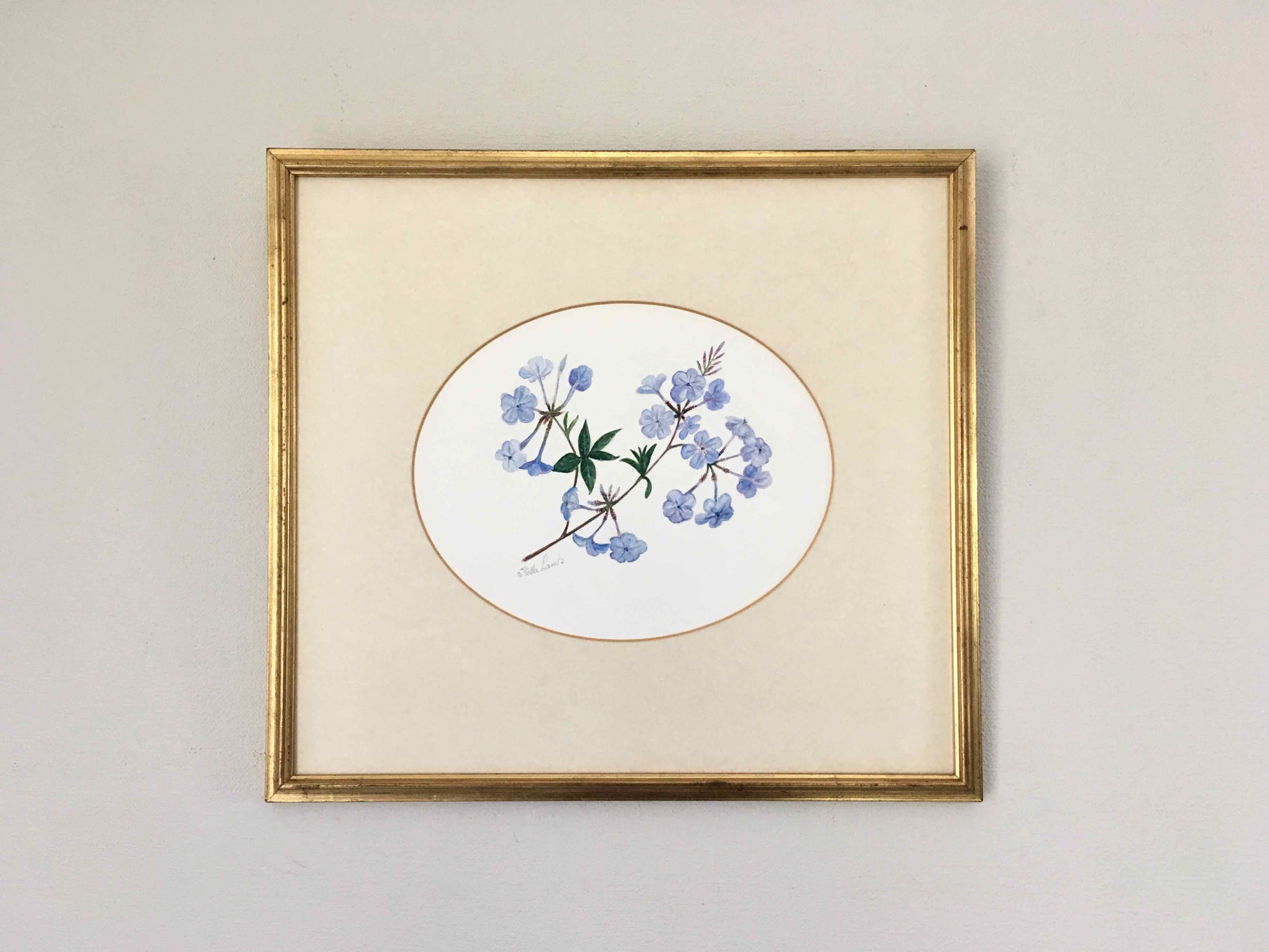 Tableau aquarelle fleurs de plumbago