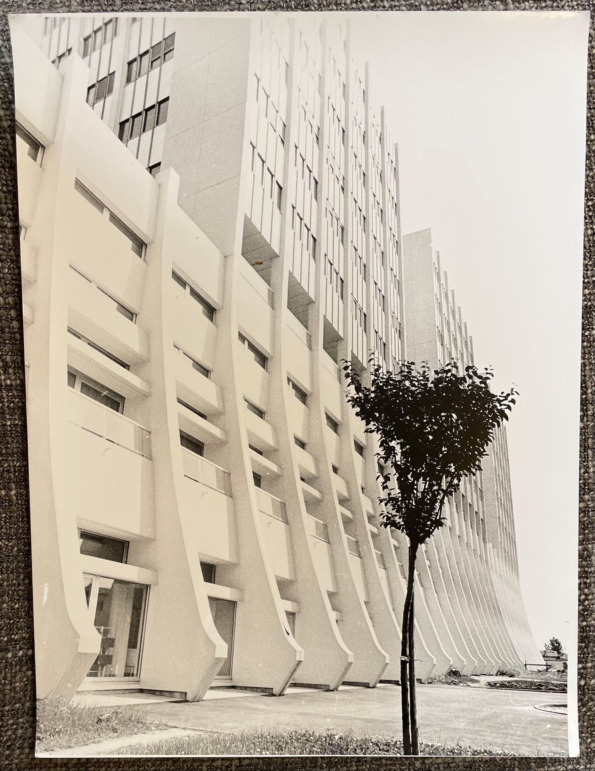 Photograph black and white silver print circa 1970 architecture