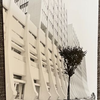 Photograph black and white silver print circa 1970 architecture