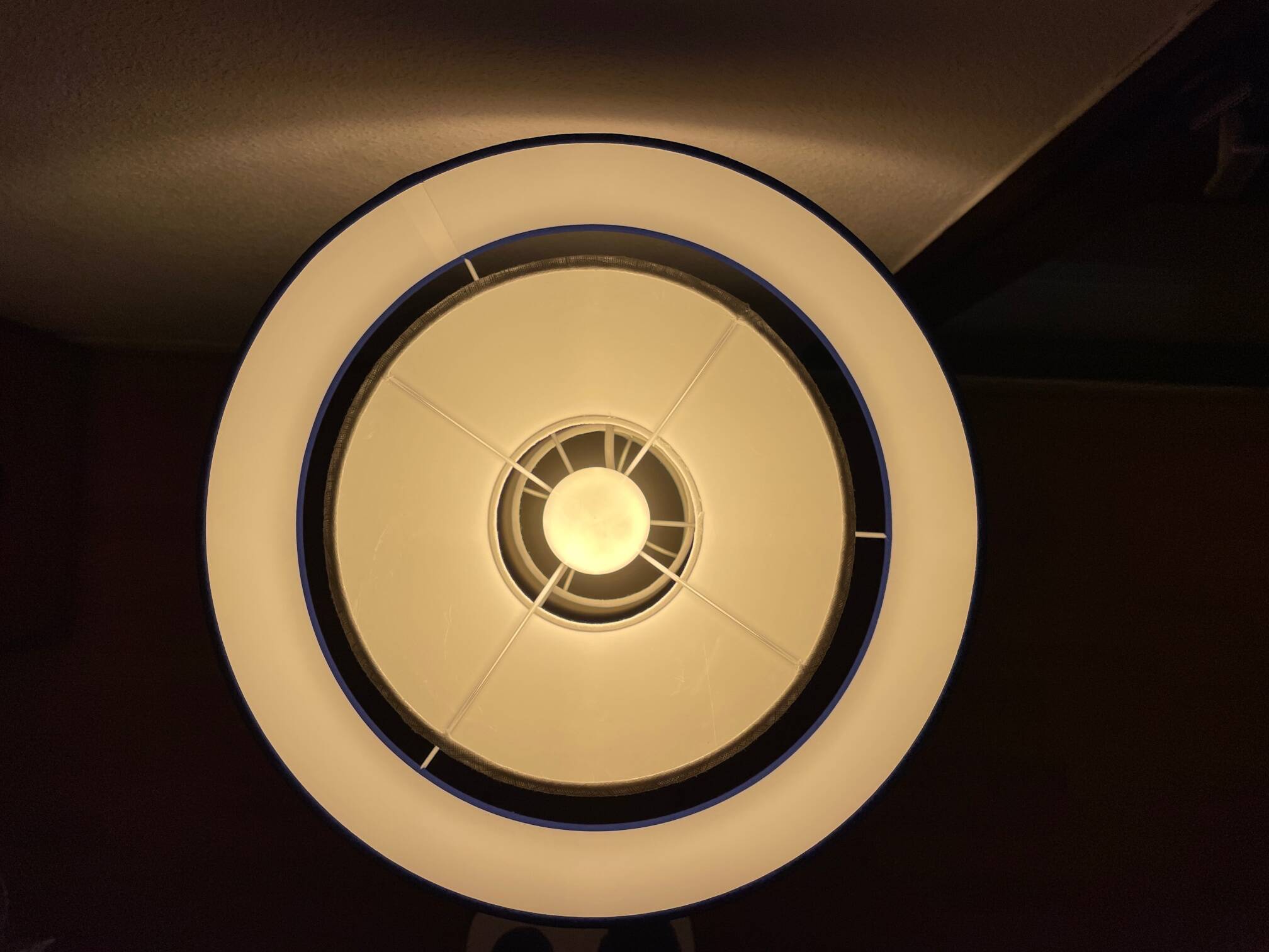Lampe de meuble Lamp'cône Bleu de Klein