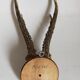 Scandinavian hunting trophy old 30 years