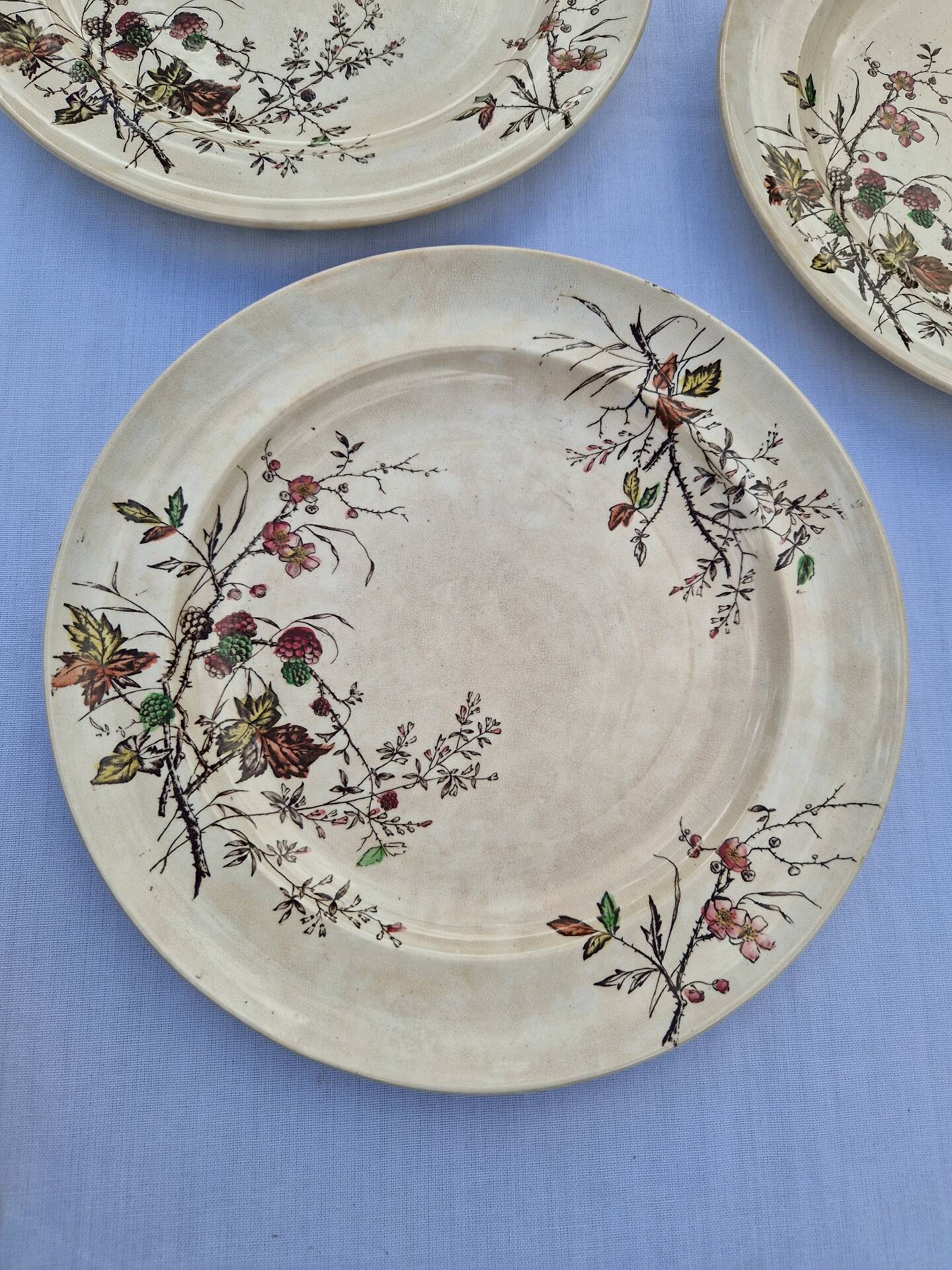 Set of 12 Terre De Fer Plates Manufacture Moore & Co Model Como