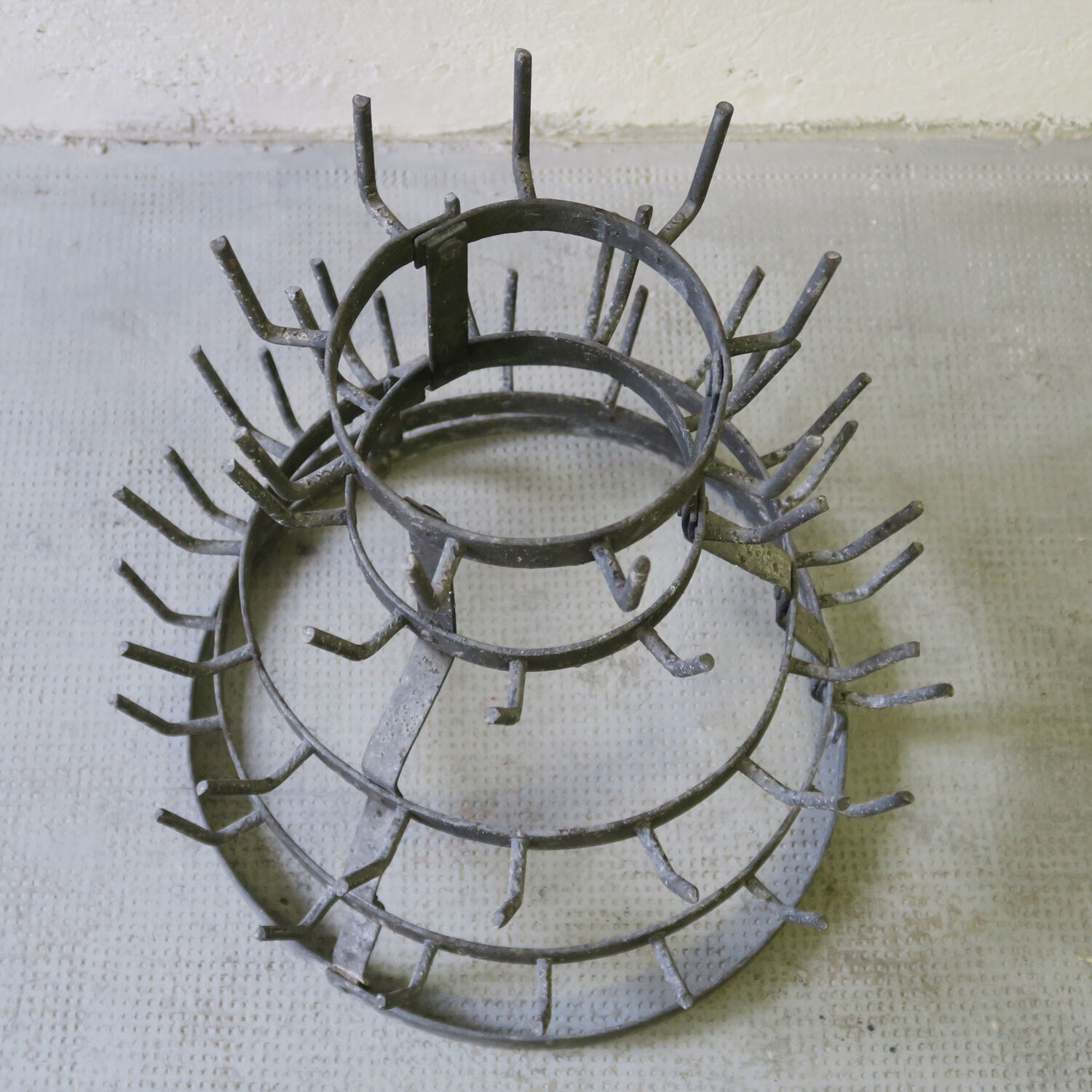 Dry bottle says hedgehog