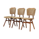 Chaises danoise