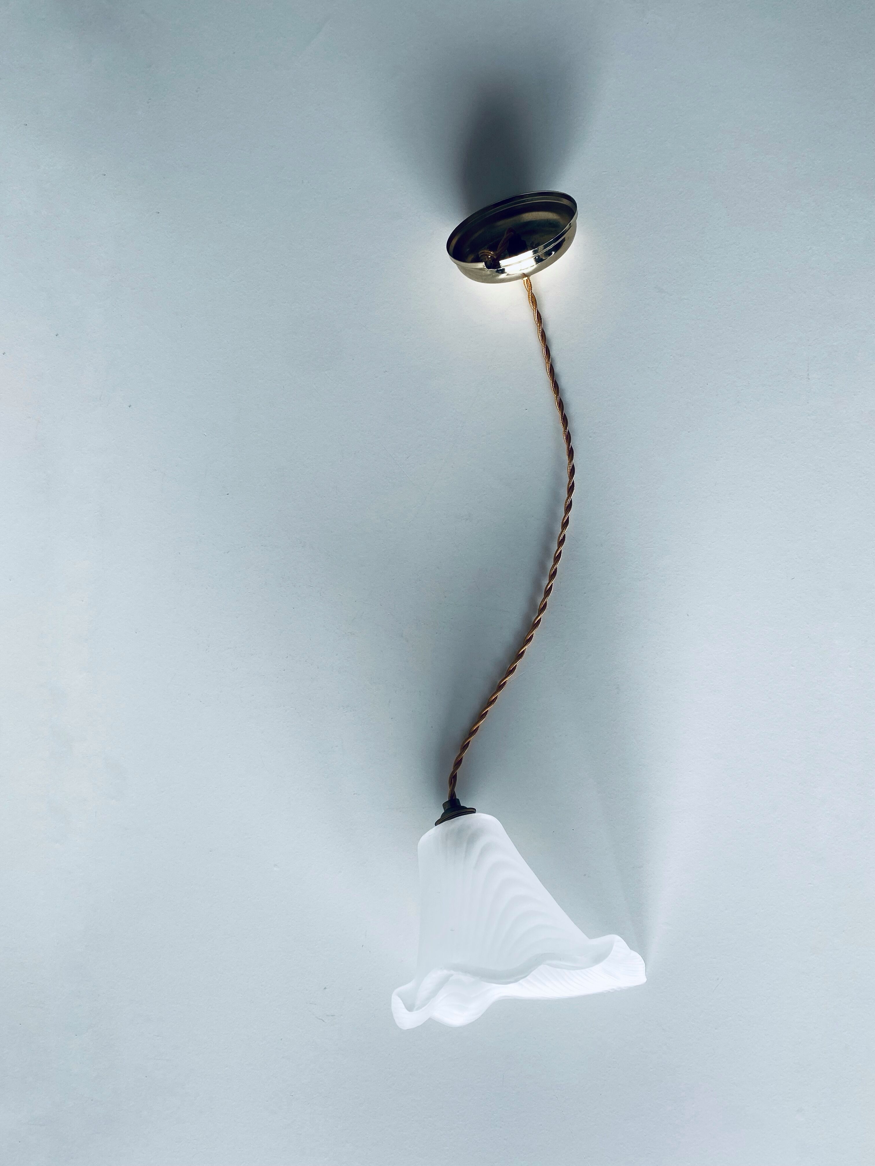 Flower suspension in glass paste