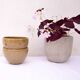2 large feu la Berne stoneware bowls signed