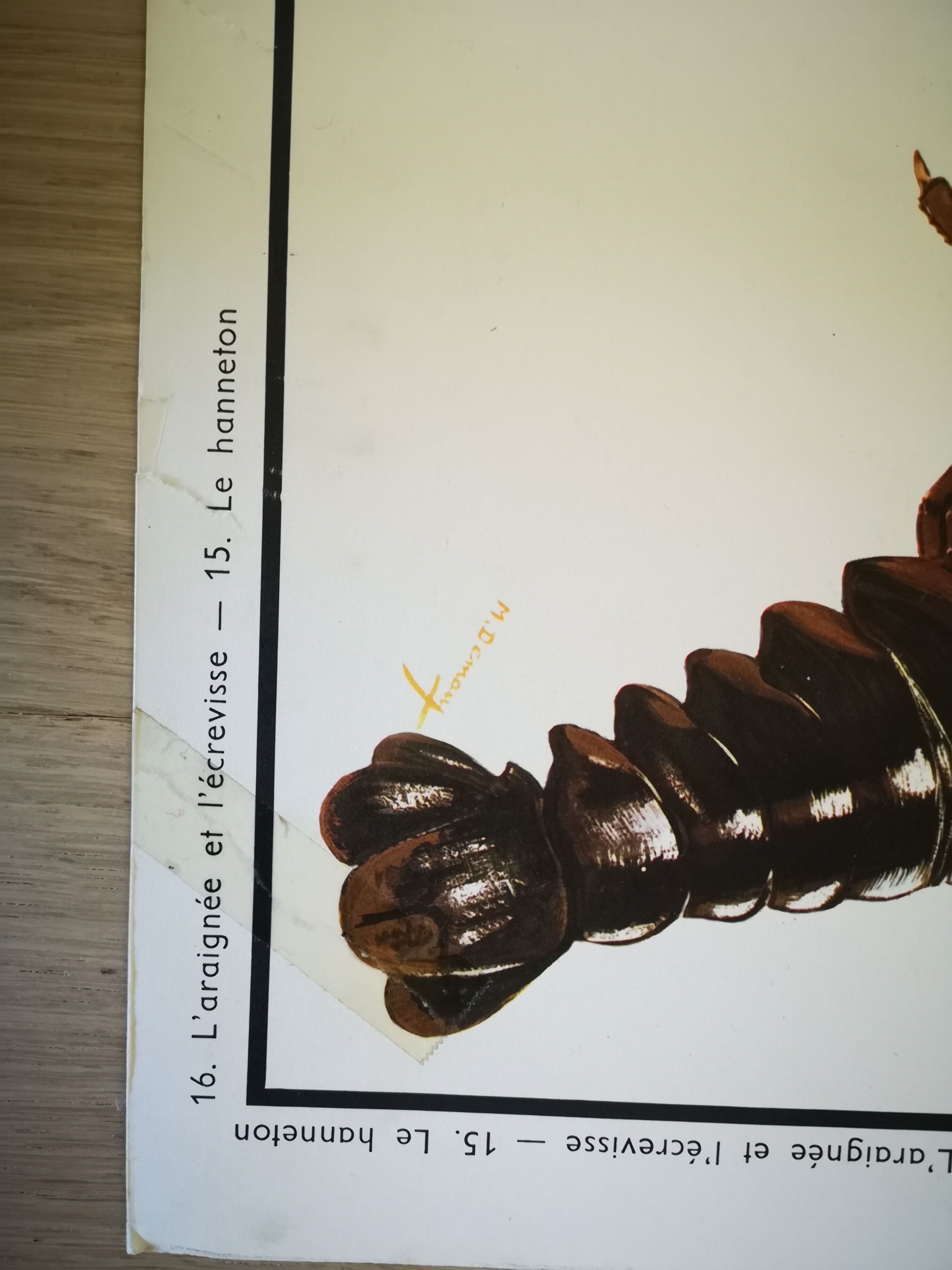 Former school poster Rossignol 50s crayfish spider ha