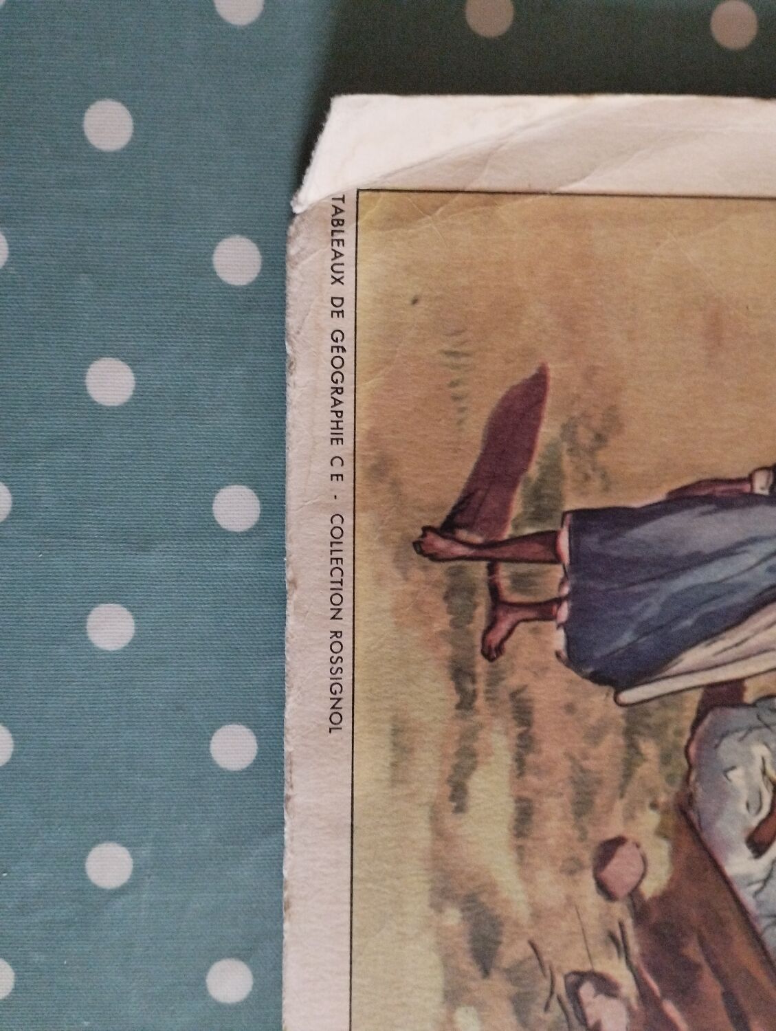 Vintage poster Rossignol edition