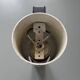 Brushed chrome metal wall light, Maija Liisa Kormulainen – Raak Design 1970