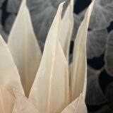 Jannalights handkerchief lamp