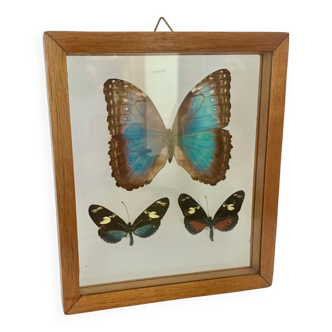 Butterfly wall frame