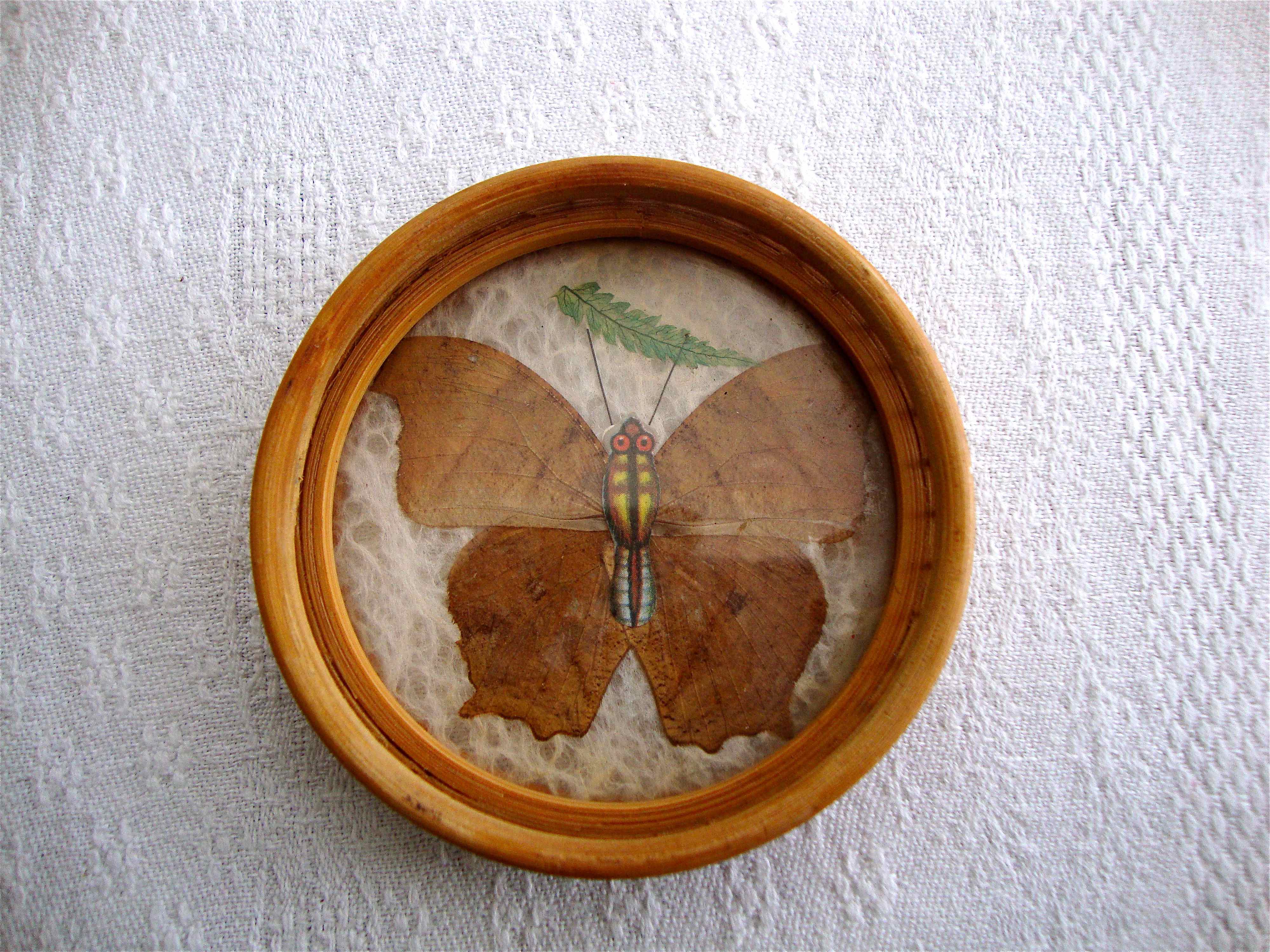Butterfly tray and coasters
