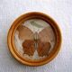 Plateau et sous-verres papillons