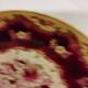 Longwy Enamels Plate
