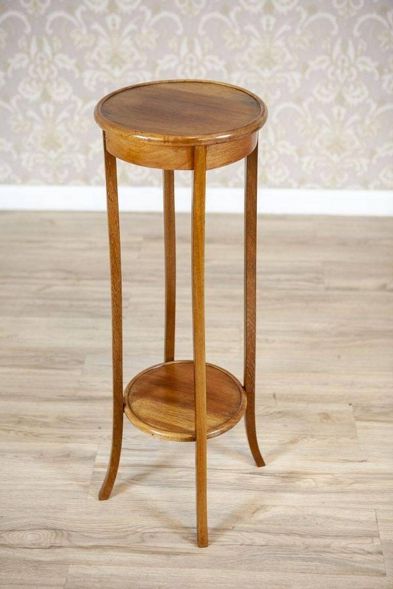 20th Century Mahogany Plant Stand, 1940s