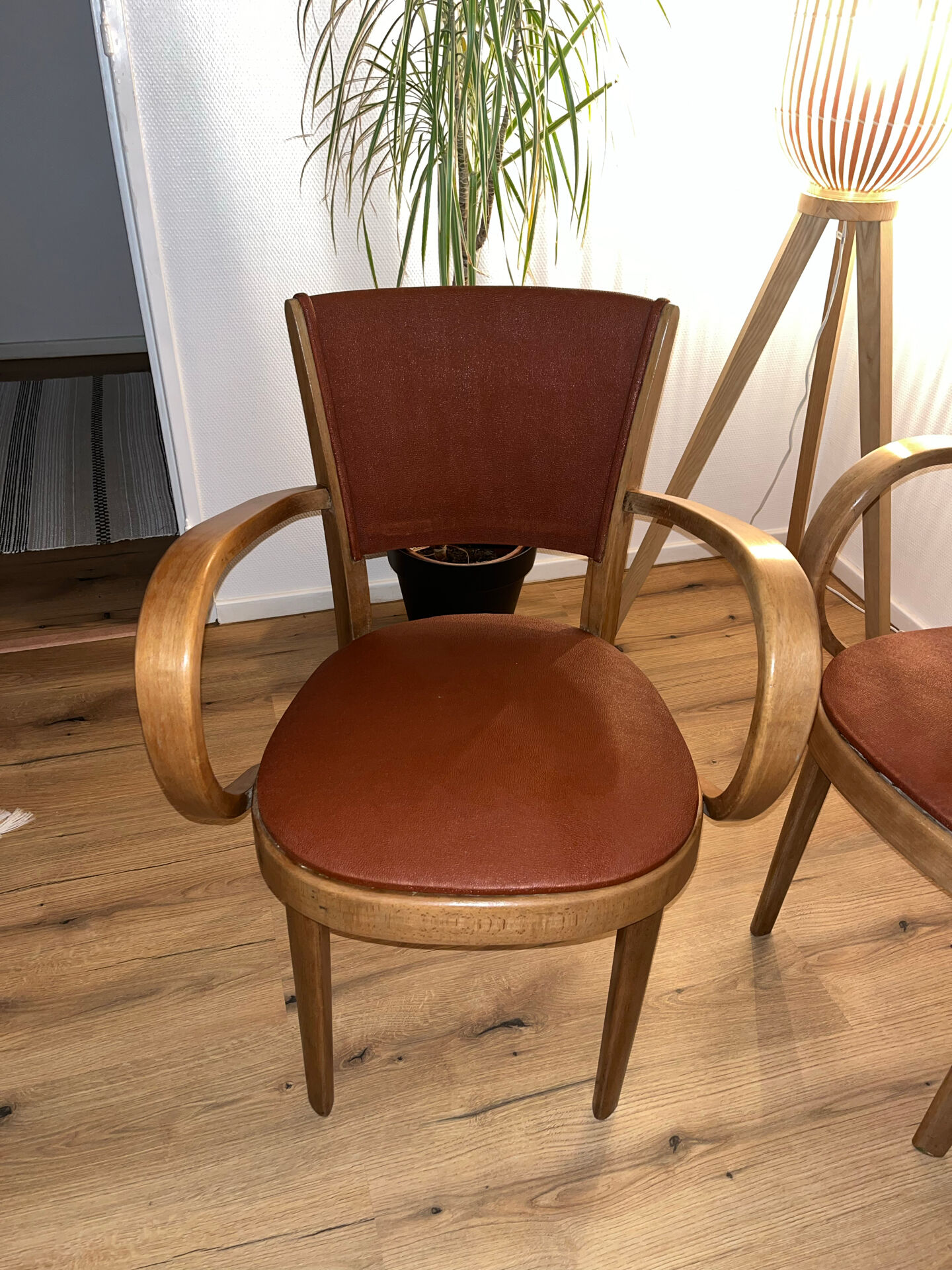 Pair of Fischel armchairs in bent wood