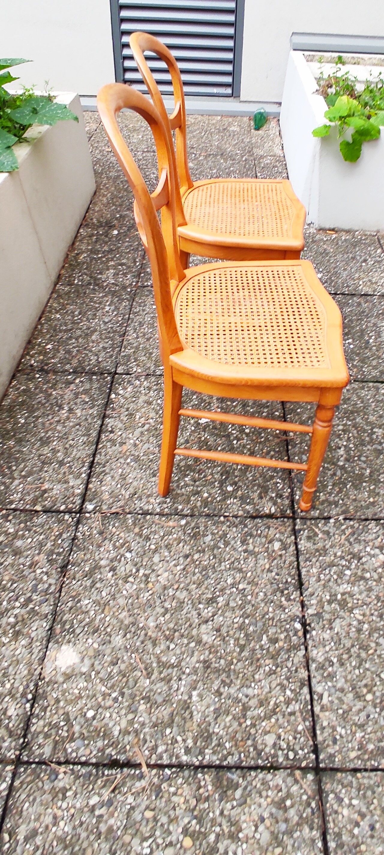 Set of 4 dining room chairs in solid birch wood and cannage; louis philippe style, very b